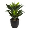 21in. Potted Agave Plant -Michaels Shop D251728S 1