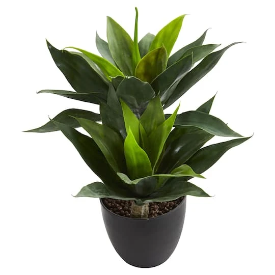 21in. Potted Agave Plant 5 21in. Potted Agave Plant - Image 3