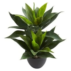 21in. Potted Agave Plant 9 21in. Potted Agave Plant -Michaels Shop D251728S 3