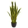 26in. Potted Sansevieria Plant -Michaels Shop D251730S 11