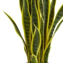 26in. Potted Sansevieria Plant -Michaels Shop D251730S 12