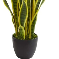 26in. Potted Sansevieria Plant -Michaels Shop D251730S 13