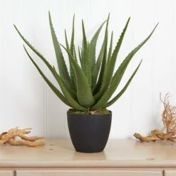 2ft. Potted Aloe Plant 12 2ft. Potted Aloe Plant -Michaels Shop D251732S 14
