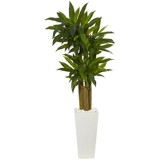 5ft. Cornstalk Dracaena Plant In White Tower Planter 3 5ft. Cornstalk Dracaena Plant In White Tower Planter