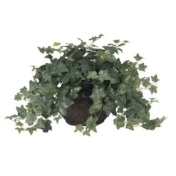 18" Potted Puff Ivy