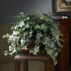 18" Potted Puff Ivy 7 18" Potted Puff Ivy -Michaels Shop D251761S 2