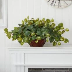15" Potted Pothos Plant -Michaels Shop D251765S 14