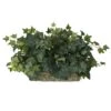 14" Ivy Ledge Plant With Moss
