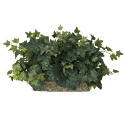 14" Ivy Ledge Plant With Moss