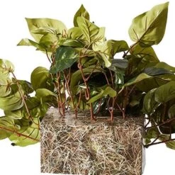 15" Pothos Ledge Plant -Michaels Shop D251771S 12