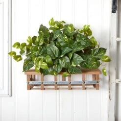 15" Pothos Ledge Plant -Michaels Shop D251771S 15