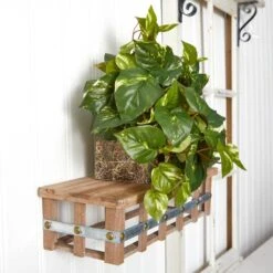 15" Pothos Ledge Plant -Michaels Shop D251771S 16