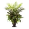 2ft. Mixed Areca Palm, Fern & Peacock In Planter