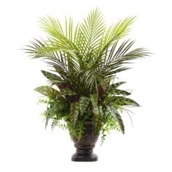 2ft. Mixed Areca Palm, Fern & Peacock In Planter