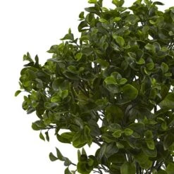 2.5ft. Potted Peperomia Plant -Michaels Shop D251786S 12