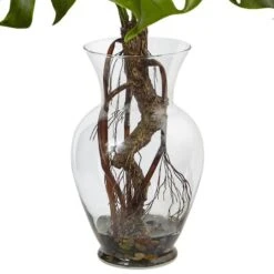 2ft. Monstera Plant In Glass Vase -Michaels Shop D251788S 13
