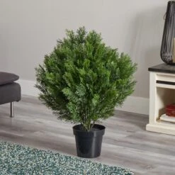 3ft. Potted Cedar Bush -Michaels Shop D251790S 14