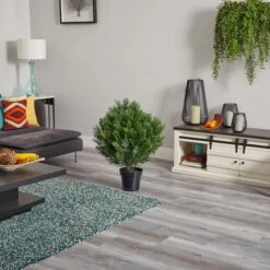 3ft. Potted Cedar Bush -Michaels Shop D251790S 15