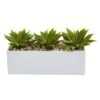 13" Agave Succulent In White Rectangular Planter -Michaels Shop D251793S 11