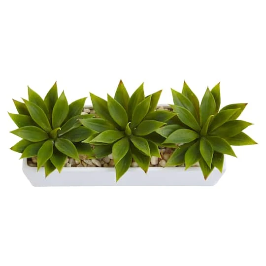 13" Agave Succulent In White Rectangular Planter 6 13" Agave Succulent In White Rectangular Planter - Image 4