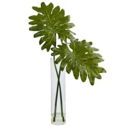 2.5ft. Philodendron Leaves In Cylinder Glass Vase
