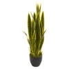 3ft. Potted Snake Plant 1 3ft. Potted Snake Plant -Michaels Shop D251798S 11