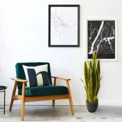 3ft. Potted Snake Plant -Michaels Shop D251798S 14