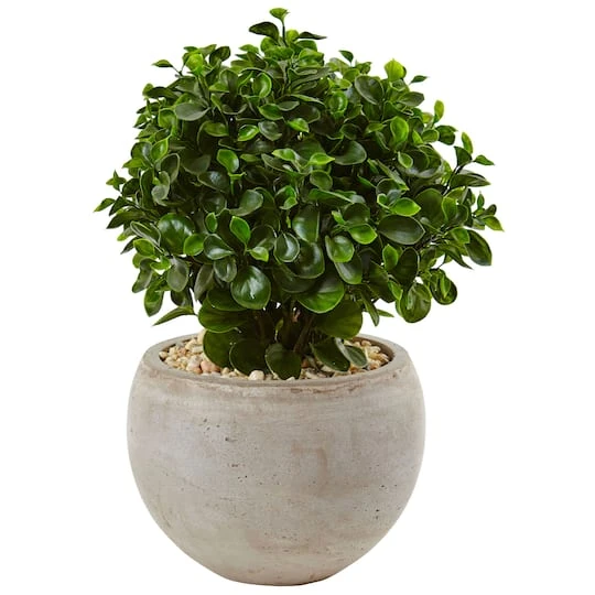2ft. Eucalyptus Plant In Sand Colored Bowl 3 2ft. Eucalyptus Plant In Sand Colored Bowl