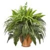 23" Mixed Leaf & Fern Plant In Terra Cotta Planter -Michaels Shop D251803S 11
