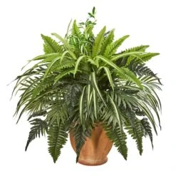 23" Mixed Leaf & Fern Plant In Terra Cotta Planter