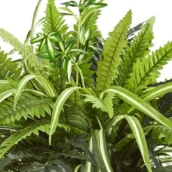 23" Mixed Leaf & Fern Plant In Terra Cotta Planter -Michaels Shop D251803S 12