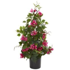 2ft. Potted Bougainvillea Climbing Plant -Michaels Shop D251804S 11 1