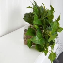 24" Green London Ivy Real Touch Artificial Ledge Plant -Michaels Shop D251807S 17