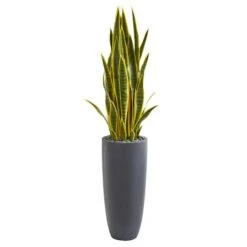 4.5ft. Sansevieria Plant In Gray Planter