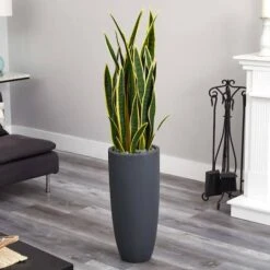 4.5ft. Sansevieria Plant In Gray Planter -Michaels Shop D251811S 12