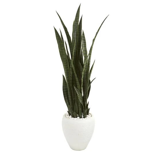 4.25ft. Sansevieria Plant In White Planter 3 4.25ft. Sansevieria Plant In White Planter