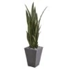 4.75ft. Sansevieria Plant In Slate Planter -Michaels Shop D251814S 1