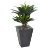 3ft. Double Agave Succulent Plant In Slate Planter -Michaels Shop D251815S 1