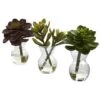 Succulent Arrangements In Vases 3ct. -Michaels Shop D251816S 11