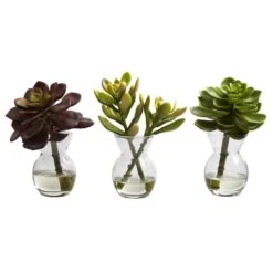 Succulent Arrangements In Vases 3ct. -Michaels Shop D251816S 12