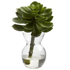 Succulent Arrangements In Vases 3ct. -Michaels Shop D251816S 13