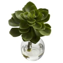 Succulent Arrangements In Vases 3ct. -Michaels Shop D251816S 16