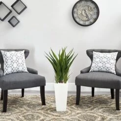 40" Spiky Agave Plant In White Planter -Michaels Shop D251817S 12