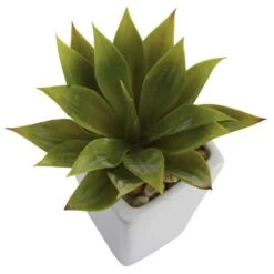 9" Mini Agave Arrangement In White Planter, 3ct. -Michaels Shop D251818S 13