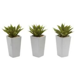 9" Mini Agave Arrangement In White Planter, 3ct. -Michaels Shop D251818S 14