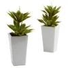11.5" Double Mini Agave Arrangement With Planter, 2ct. -Michaels Shop D251820S 11