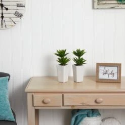 11.5" Double Mini Agave Arrangement With Planter, 2ct. -Michaels Shop D251820S 15