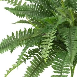 15" Boston Fern, 2ct. -Michaels Shop D251821S 12