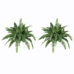 15" Boston Fern, 2ct. -Michaels Shop D251821S 13