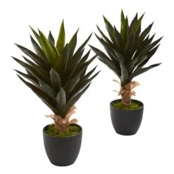 20" Potted Agave Plant, 2ct. -Michaels Shop D251823S 1 1
